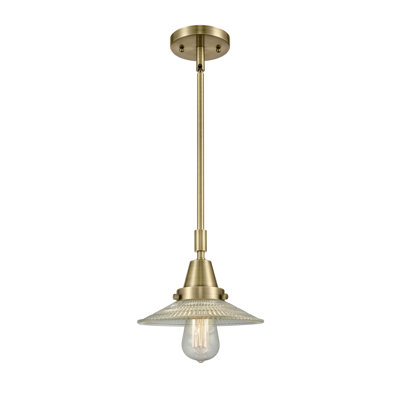 Cahaba 1 - Light Single Pendant