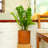 7.8 In.  Dark Wood Plastic Self-Watering Planter Pot