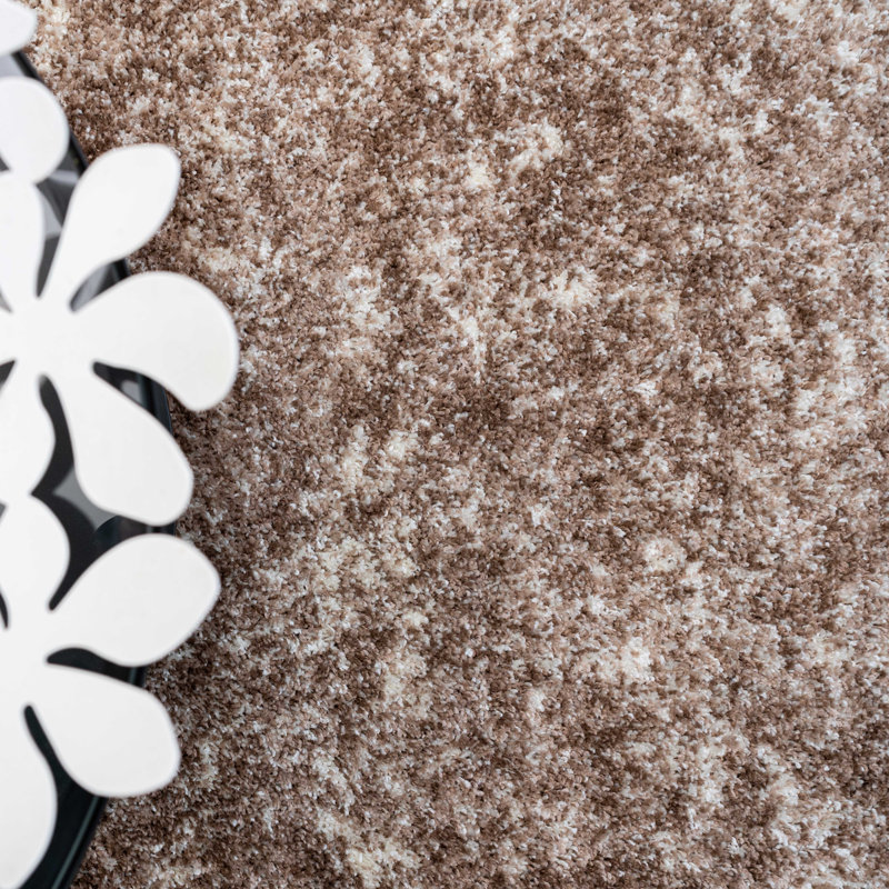 Dinton Shag Area Rug, Rectangle 60 x 110cm