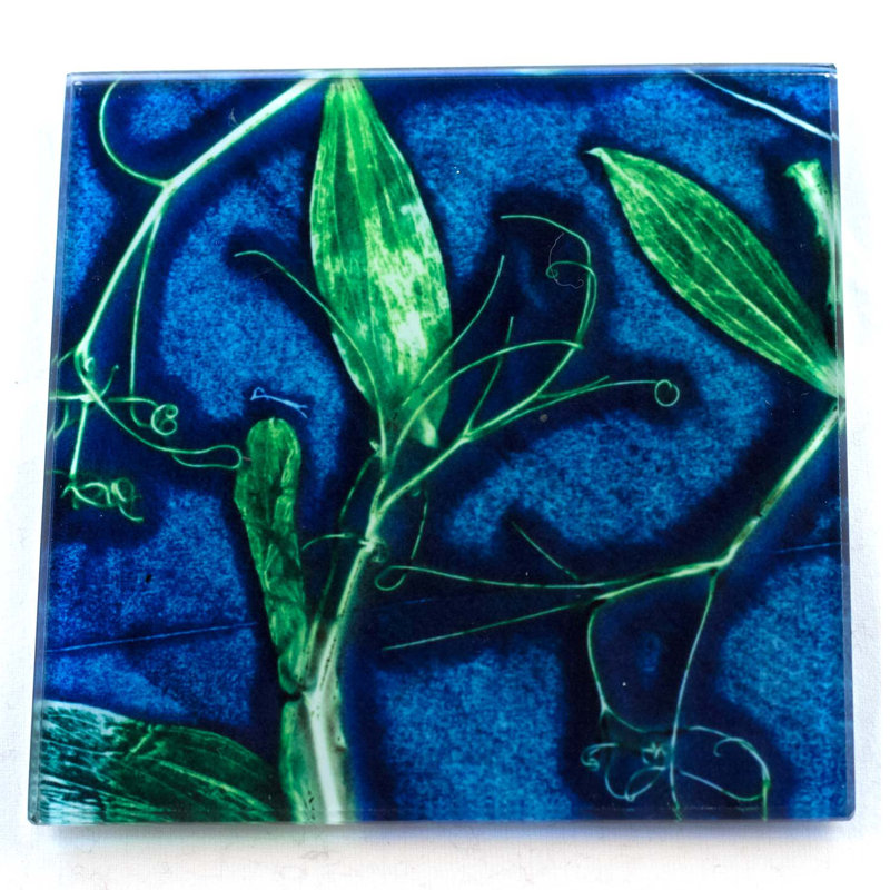 Glass Square 1 Piece Coaster, Blue