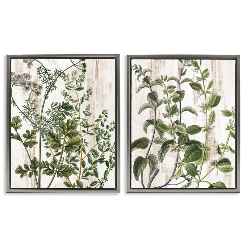 «Aged Botanical Leaves», ensemble de 2 toiles flottantes encadrées par Kim Allen, H 31 po x l 25 po