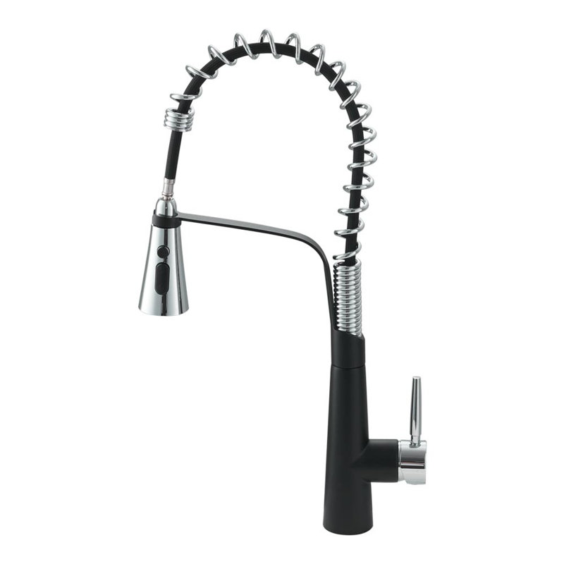 Belfry Kitchen Apollinaris Kitchen Faucet, Matte Black/Chrome