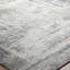 Evgenii Area Rug-51185266-100877665