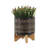 5/8" GLAZED PLANTER W/ STAND, BLACK