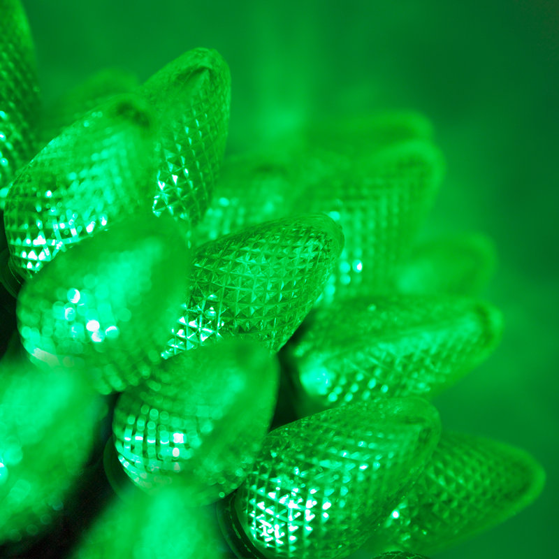 C7 Christmas 25-Light LED String Light, Green