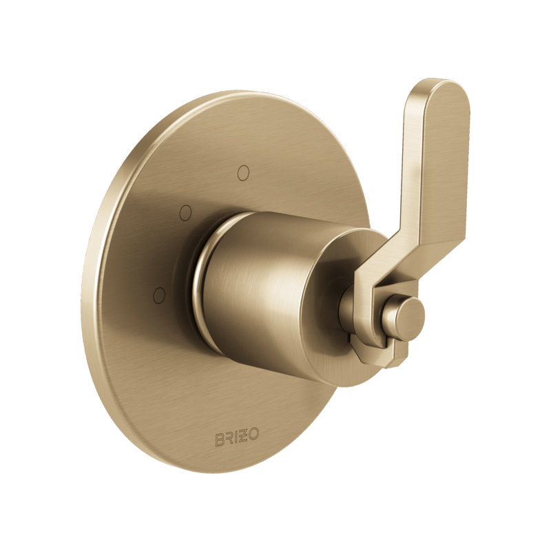 Litze® Wall Mounted Diverter Valve, Chrome, Industrial Lever