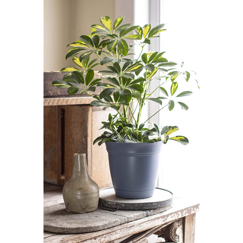 Daekwan Pot Planter, Chocolate, 8.75" H x 10" W x 10" D