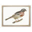 Bullfinch by Johan Teyler - Picture Frame Art Print-55512881-55512885