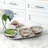 Jeffries 7 Piece Condiment Set