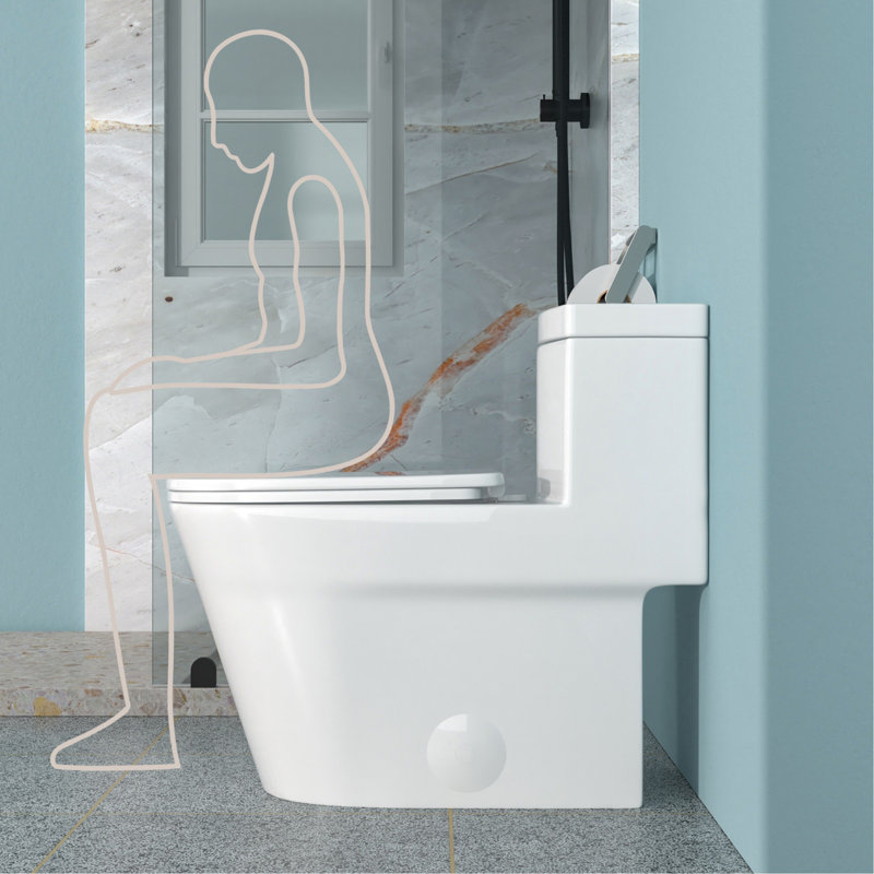 Ceramic One Piece Toilet For Bathroom, 12-Inch Rough-In, 1.24/1.43 GPF, Dual Flush With Soft Clsoing Seat, Powerful Dual Flush MAP 800G
