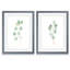 «Soft Eucalyptus Branch III» par Vincent Van Gogh - ensemble de 2 reproductions d'art encadrées-1994130588-1994144010-1994144012