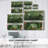 Evolve Green II-Gallery Wrapped Canvas-1311159404