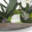 Orchid Floral Arrangement