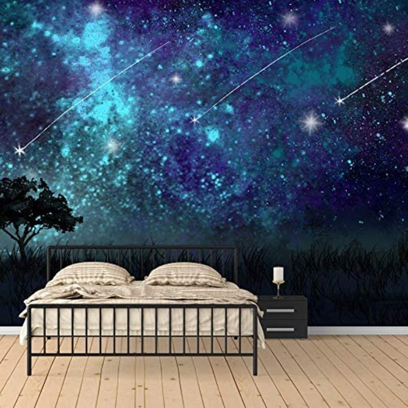 Murale à peindre Dream World, L 100 po x l 144 po