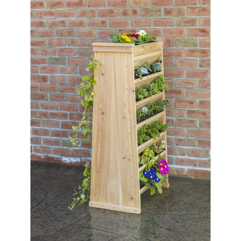 Jardin vertical en cèdre