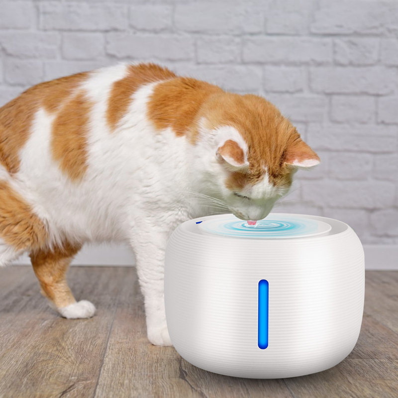 84.54oz. Pet Fountain, White