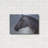 " Equine Encounter " by Robert Campbell-2010123896