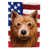 Spitz finlandais sélectionné