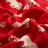 Polyester Animal Print Comforter-55253851-55253852