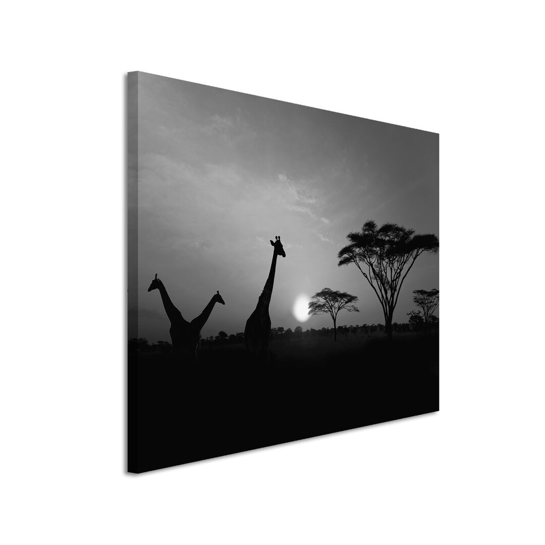 Leinwandbild „Sonnenuntergang im Serengeti Nationalpark“, Fotodruck