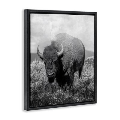 Wandering Bison Monochrome Portrait Floating Frame, design by Marcus Prime