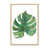 American Maple Framed Print sélectionné