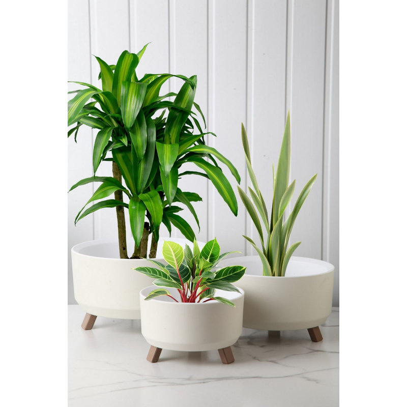 Ensemble de vases en plastique blanc élégant (3 pièces) - petit: 5,9 x 5,9 x 3,5 pouces (0,7 L), moyen: 7,1 x 7,1 x 4,1 pouces (1,3 L), grand: 8,7 x 8,7 x 4,9 pouces (2,25 L) | Durable et léger, parfait pour la décoration intérieure et les arrangements floraux