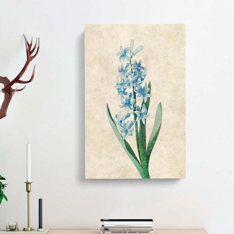 Dutch Hyacinth Flowers by Charles DOrbigny - Wrapped Canvas, 50cm H x 35cm W x 3cm D