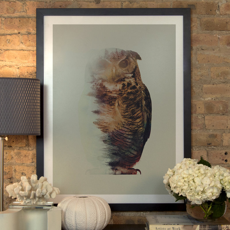 « hibou lie », impression, Papier encadré noir, H 24 po x l 16 po x P 1 po