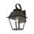 Fredderick 1 - Bulb 12.5" Outdoor Wall Lantern-2137473033