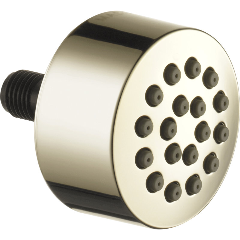 Touch-Clean Spray Head Shower, Lumicoat Polished Nickel
