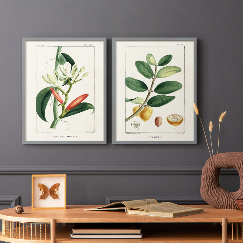Reproduction encadrée Turpin Tropical Botanicals IX-Premium - prête à être accrochée, Vert, H 15 po x l 24 po