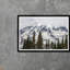 Mt. Rainier Treetops Framed Photographic Print