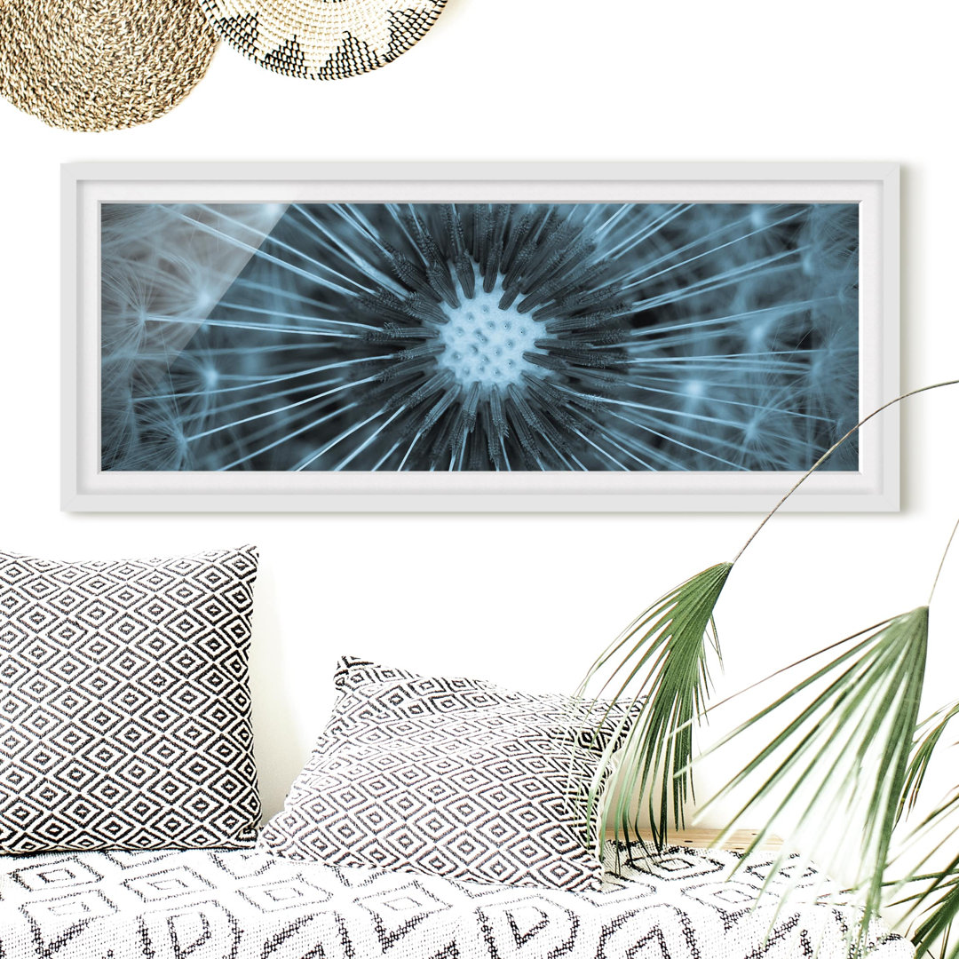 Gerahmtes Poster Blue Tinted Dandelion