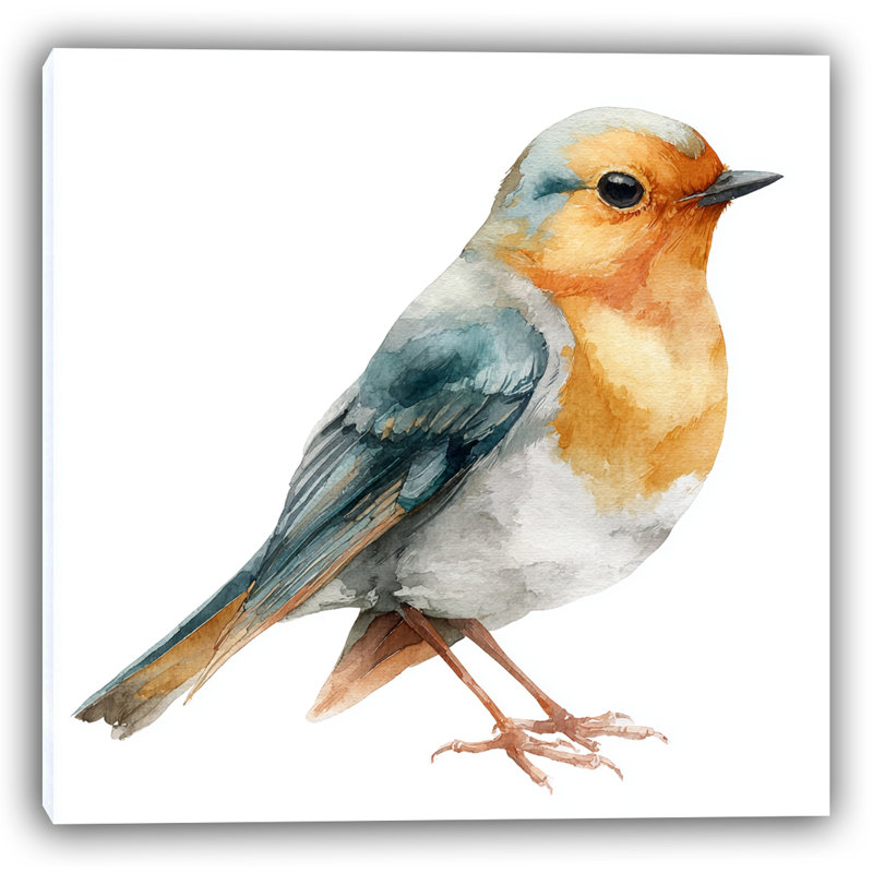 Illustration d'oiseau à l'aquarelle de Robin, H 20 po x l 20 po
