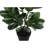 Artificial Plant