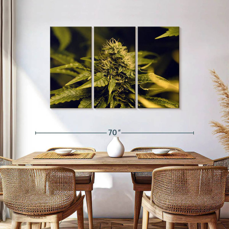 Blooming Cannabis Plant, 36" H x 57" W