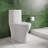 Monaco One-Piece Elongated Toilet Dual-Flush 1.1/1.6 gpf-121372818-121372820-121372821