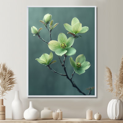 Photo hivernale de cornouiller monochrome vert gris - Cornouiller
