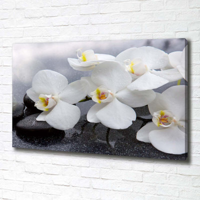 Orchid - Wrapped Canvas Print