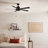 Lucian II 52'' Ceiling Fan