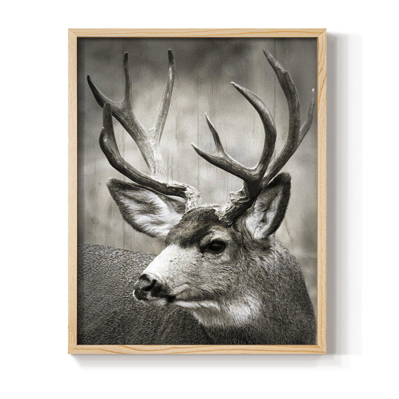 «Focused Buck», reproduction encadrée - bois massif, H 15 po x l 12 po, Naturel