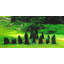 Outdoor Chess Set Garden Statue