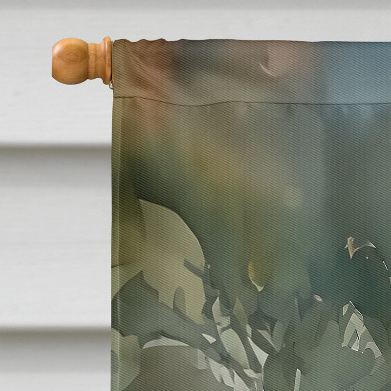 Drapeau de maison en polyester à double face H 40 po x l 28 po