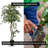 Handmade Artificial  Olive Tree with Real Wood