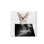 Chihuahua Glam - Impression sur toile-62043706