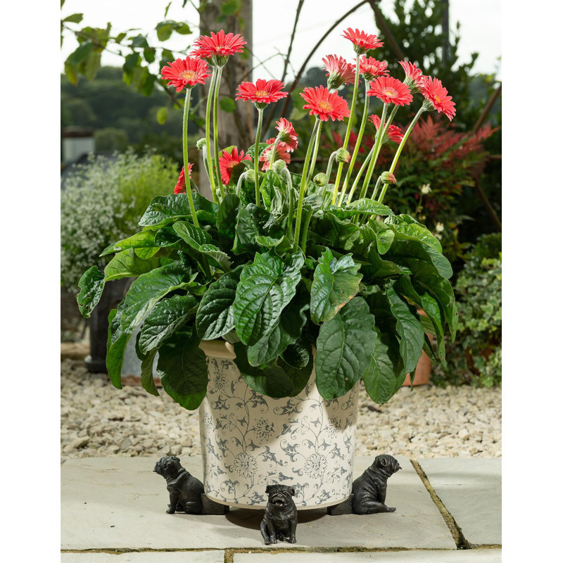 Susanna Weather Resistant Planter Feet