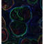 Particles 5 Painting by Irina Gorbman-1589586651