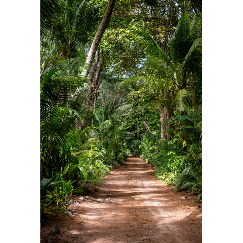 Tropical Jungle by Elenaseychelles - Wrapped Canvas Print, 46cm H x 30cm W