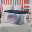 Bac de rangement en plastique Sterilite-105076406-96914170